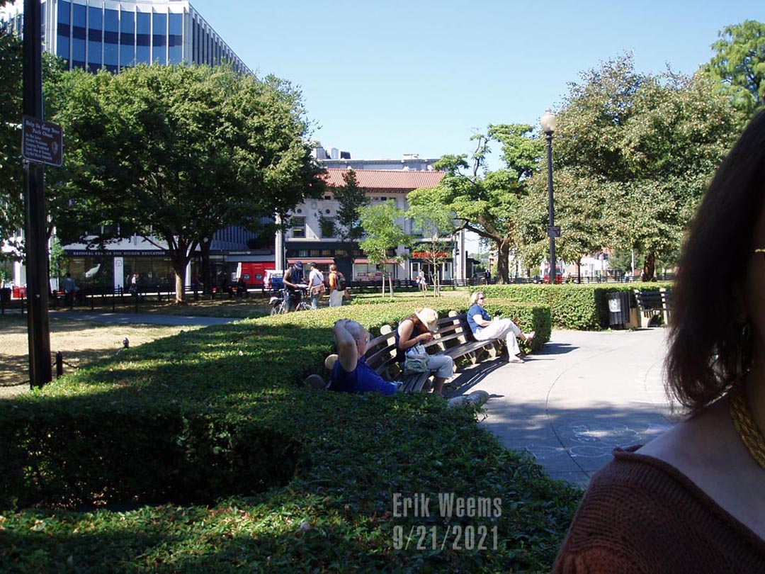 Hedges and people in the sun at Dupont Circle Hedges at Dupont Circle